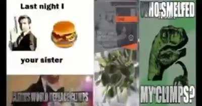 CultOfThedumb - Video #5480