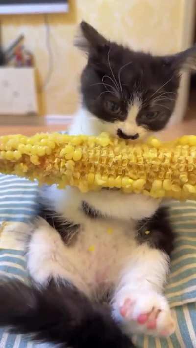 NATO görevlileri ile görüşürken Erdoğan