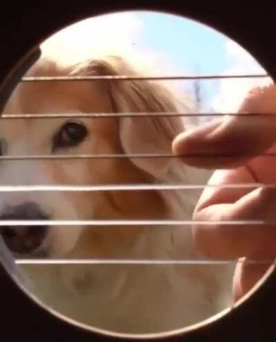 You are my sunshine, my only sunshine