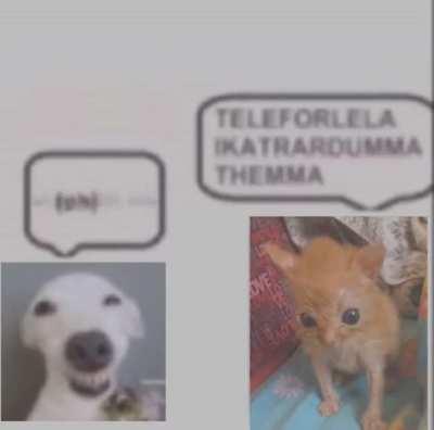 TELEFORLELA IKATRARDUMMA THEMMA