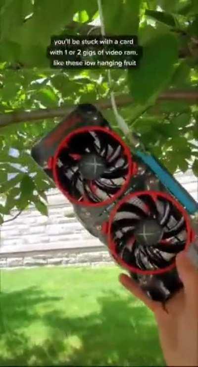 I only buy my GPUs locally grown.