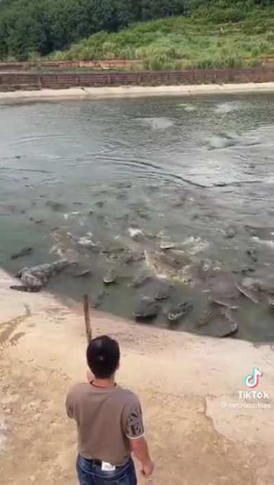 Now that everyone's attention is elsewhere