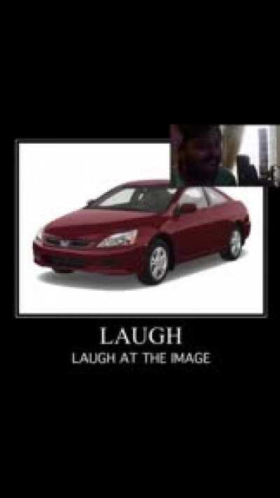 Muta laughing at the funny car (not mine)