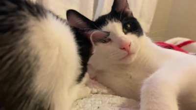 When the motor boat bumps into the camera.