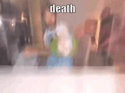 I forgot you can post gif here