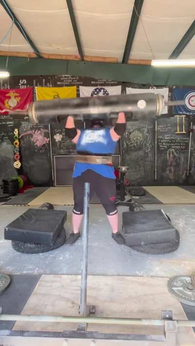 Logpress 3RM PR - 310 lbs