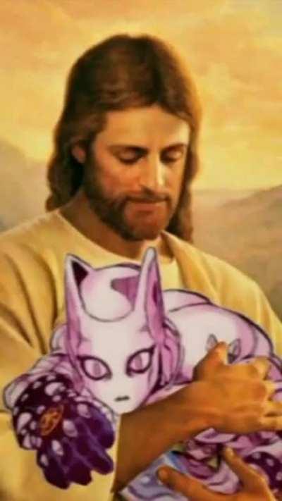 I love this meme😂