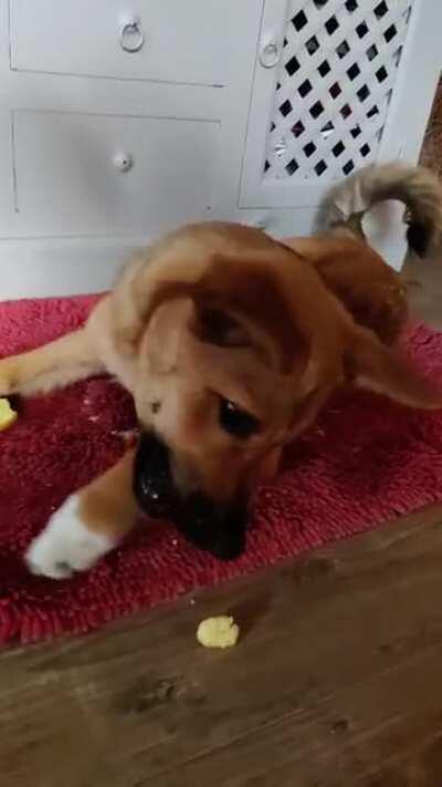 She just wanted her potato ):