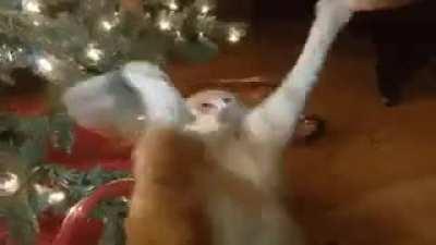 Who cares... WTF?!? Aaaaaaaarghh.