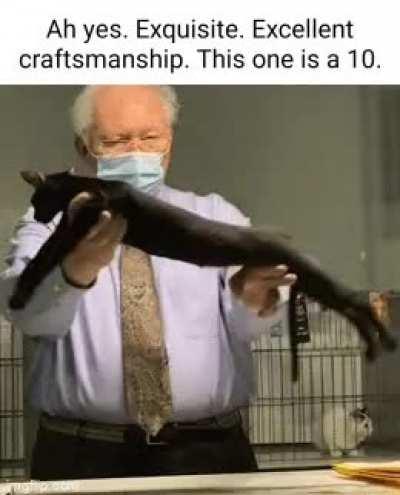 Crafting rule