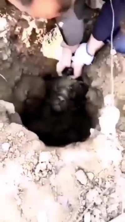 When you gank top and secure the kill, but your top dies 1v1 two minutes later