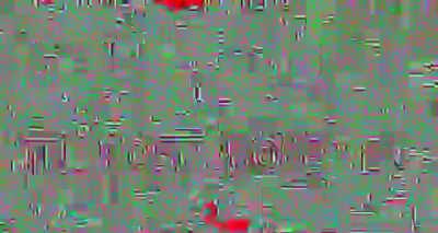 I ran this through a deep fryer 4 times