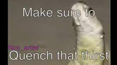 Happy snake sunday :3