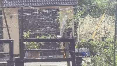 Besuchsfideo einer Wurstfachbesitzer*in 👩 vom WE. Stimmung dementsprechend noch neutraler als sonst 😉😉