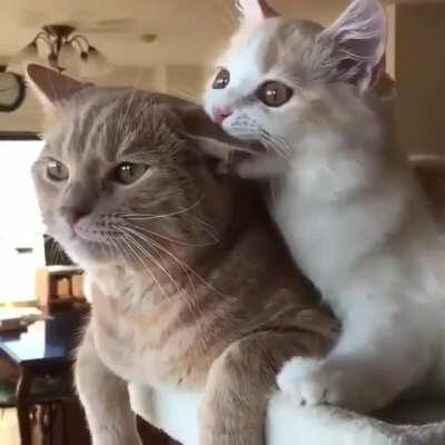 “You see what I have to deal with?”