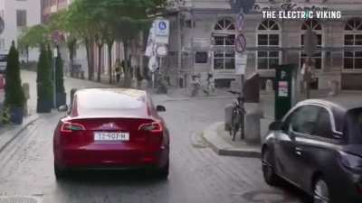 This group in Germany has been showing its anger at Tesla in a fiery way