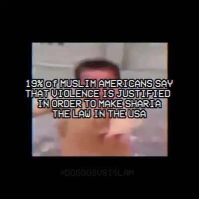 Some interesting stats.