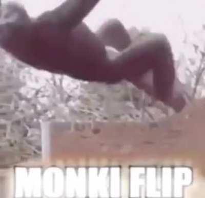 Monki Flip