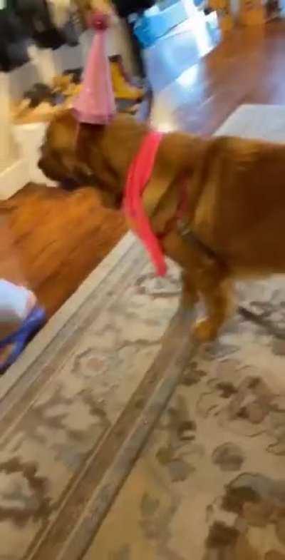 This is my Birthday Girl feelin herself