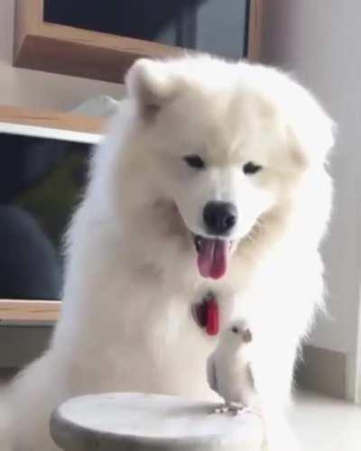 Немного милоты