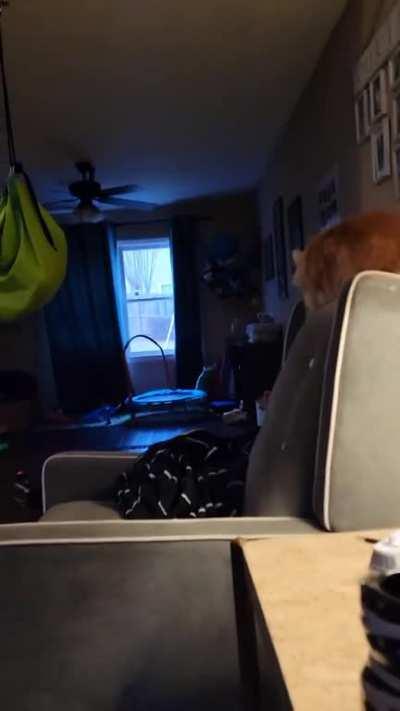 C_AT failed to load properly.