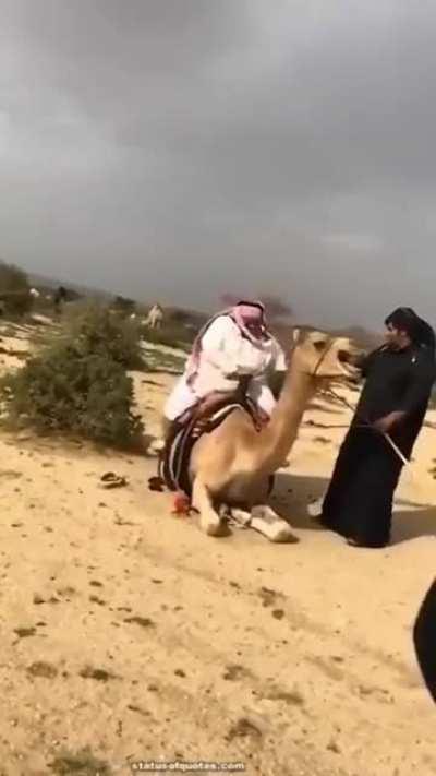 To ride a camel