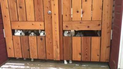 One is not like the other