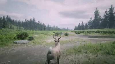 Transform into a Whitetail Buck lol (with flower locations)