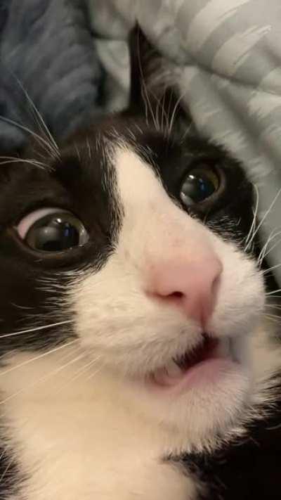 that red put him in a trance