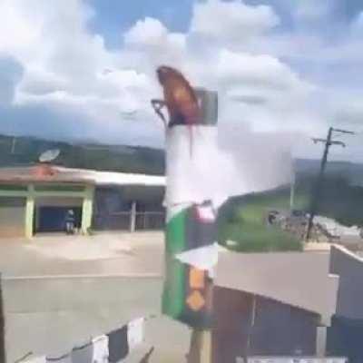 Nunca más entres a la casa de Vladimir...