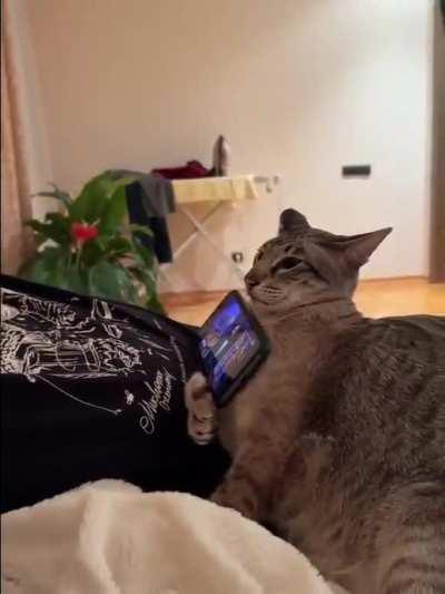 And they say cats are useless🙄