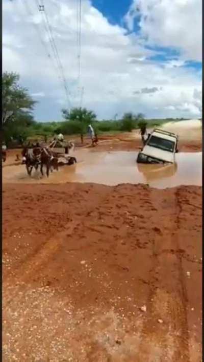 Donkey kraag vs Land Cruiser