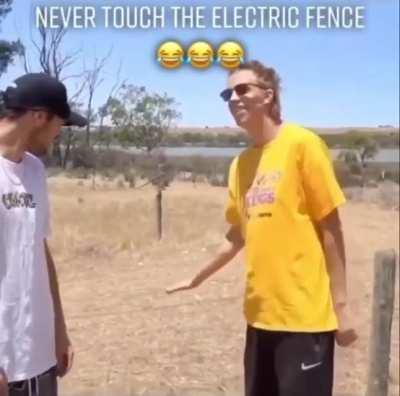 Electric fence