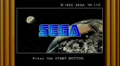 If you deleted the Wild Woody save file, I'm going to scream.