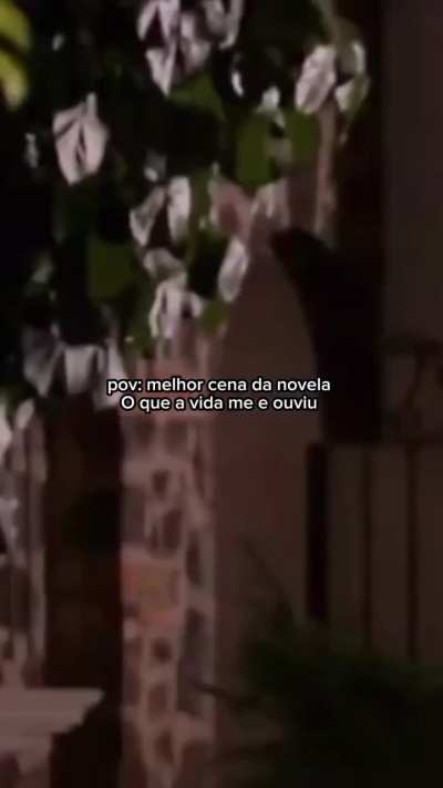 Continue o que estava fazendo 