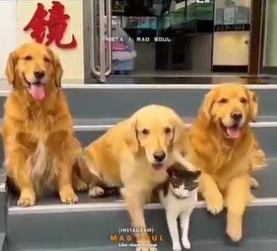 This is the best family photo