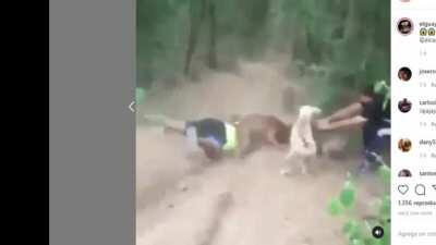 He advices to the audience: 