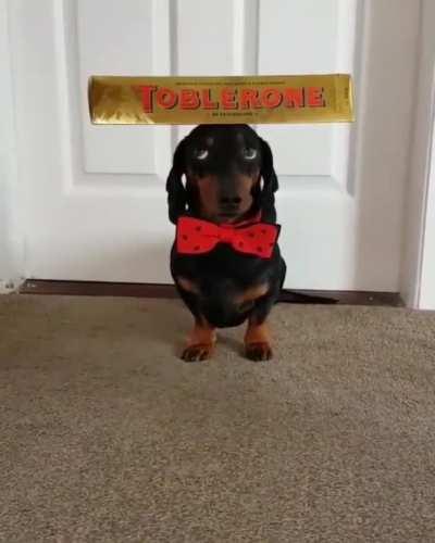 I'm a candy stand now