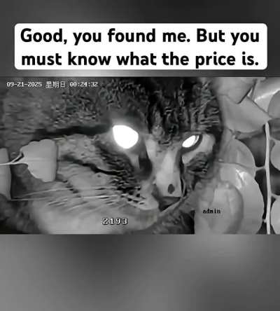 The cameraman made a huge mistake.