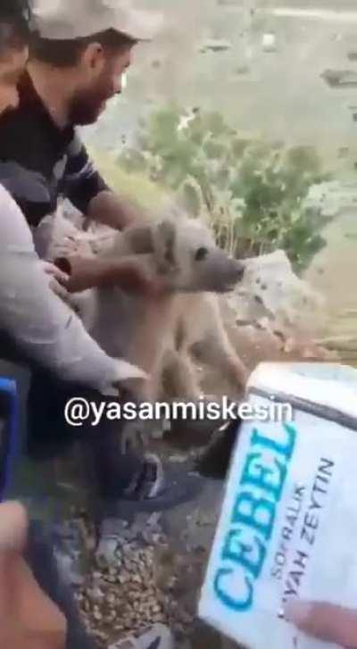 За что они так с ним!?