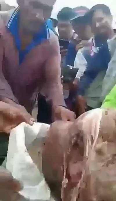 Timsah ölüsü sürprizli (görüntüler size rahatsızlık verebilir) NSFL