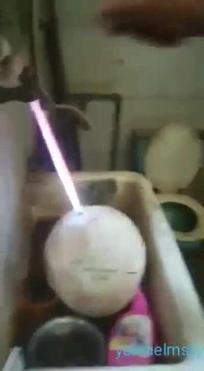 My favorite type of video