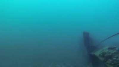 A cargo ship passing over diver