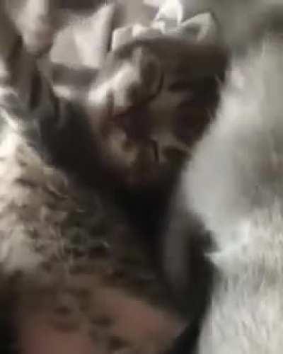 Доброе утро