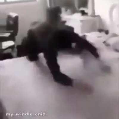 lomve 🥰🥰🥰 you 🤤