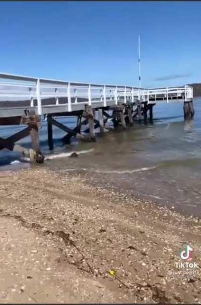 That's a shitty name