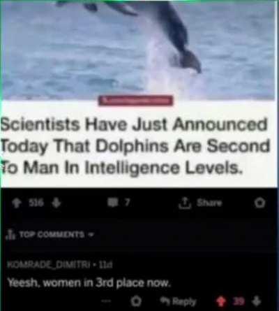 BeelcitosMemes - Video #7341