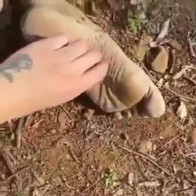 cuchi cuchi 🦶🦶🦶🦶🦶