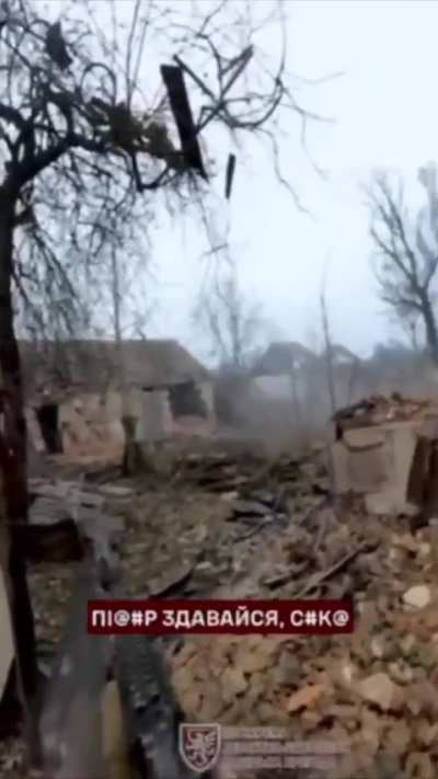 Ukrainian paratroopers capture 11 Russian POW's during a village sweep in Kursk