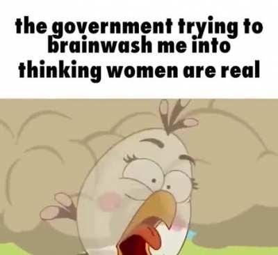 all i do as moderator is make unfunny comments and steal posts from r/shitposting users